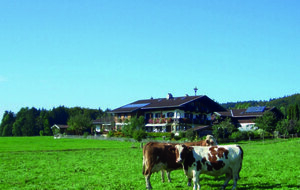 Restner Inzell
