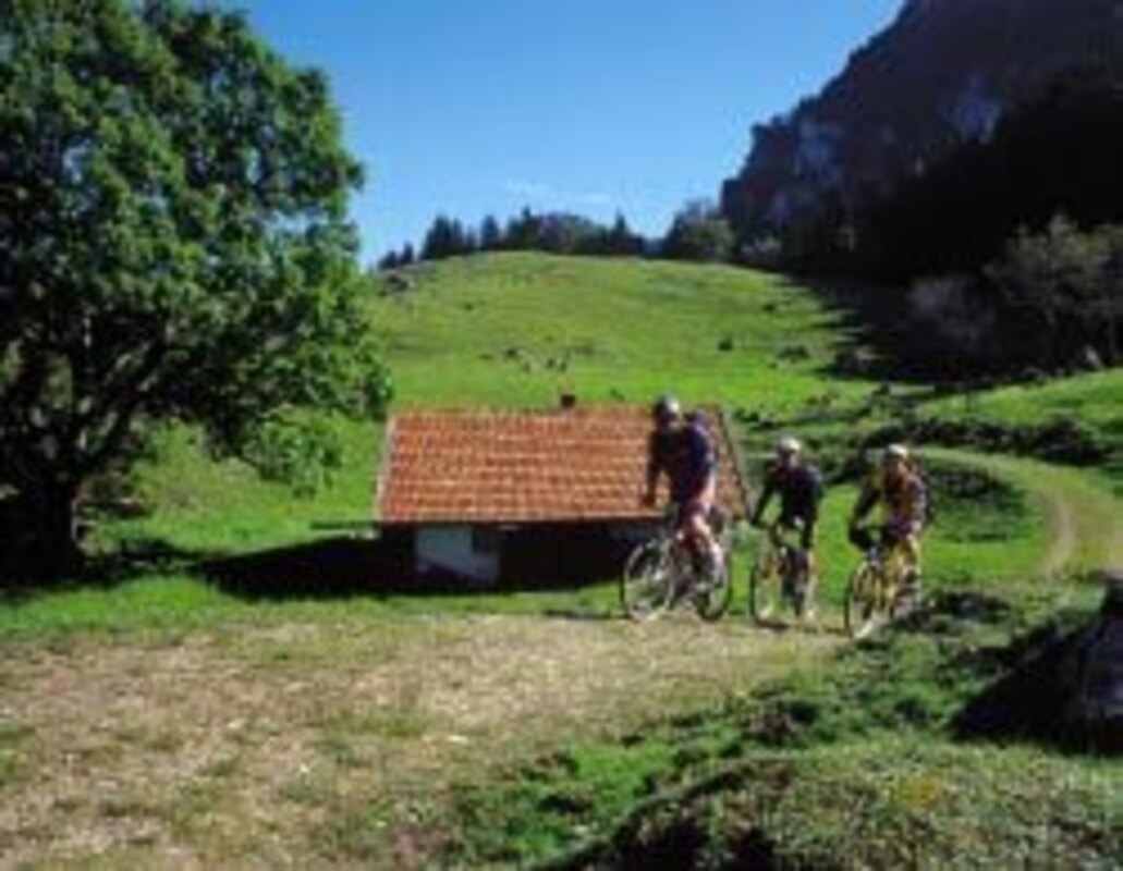 Bild-4 Maurerhof in Bernau am Chiemsee