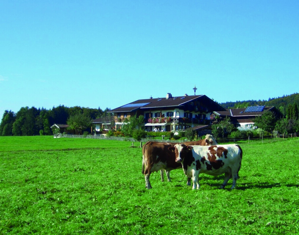 Bild-4 Gästehaus Restner in Inzell