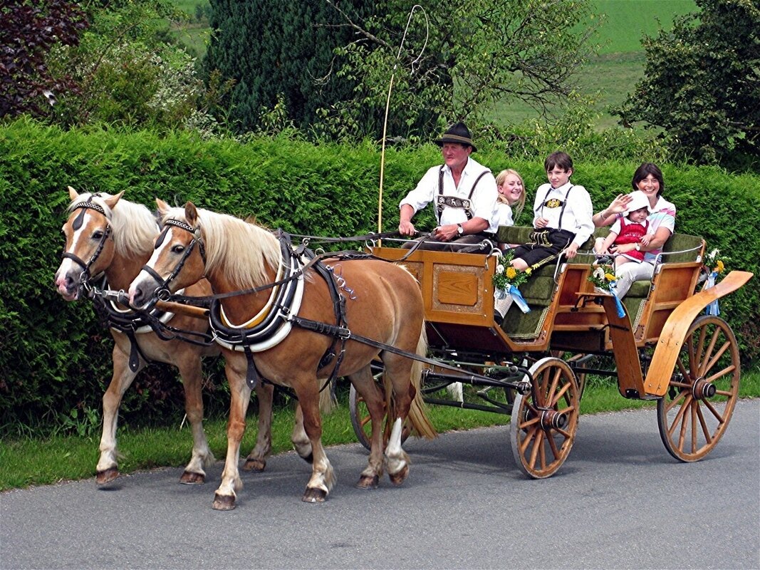 Bild-8 Fürstnerhof in Rimsting