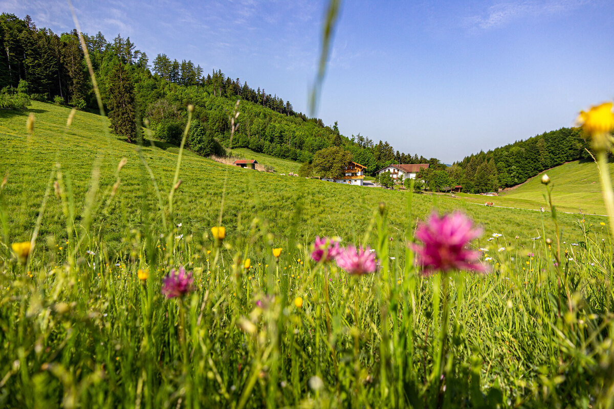 Bild-4 Wieserhof in Bernau am Chiemsee