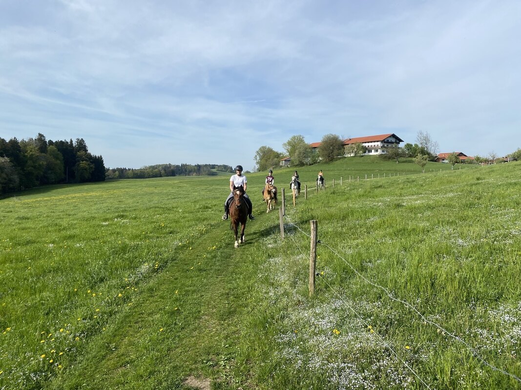 Bild-3 Fürstnerhof in Rimsting