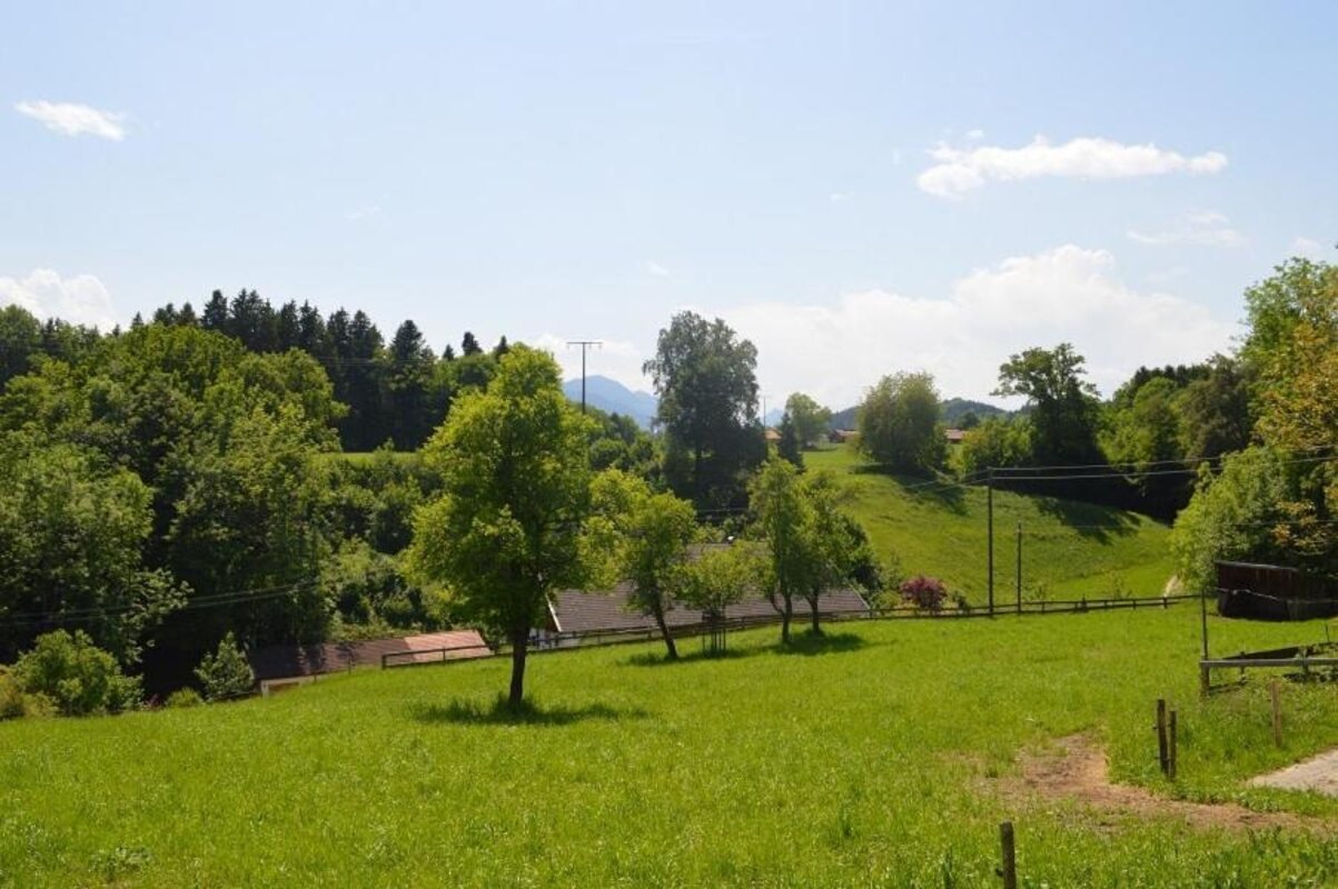 Bild-5 Tag-Hof  Ferienwohnungen Summerer in Prien am Chiemsee